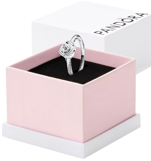 Caja de anillo